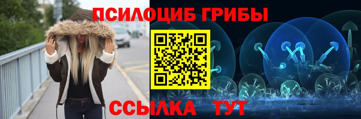 Псилоцибиновые грибы Cubensis  где купить   Амурск  Вход с VPN 